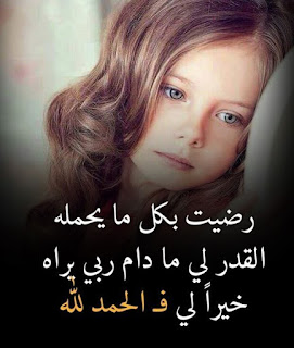 whatsapp-images-alamphoto-13-623x736