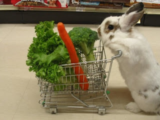 Animal Humor Picture - Bunny Buying Food