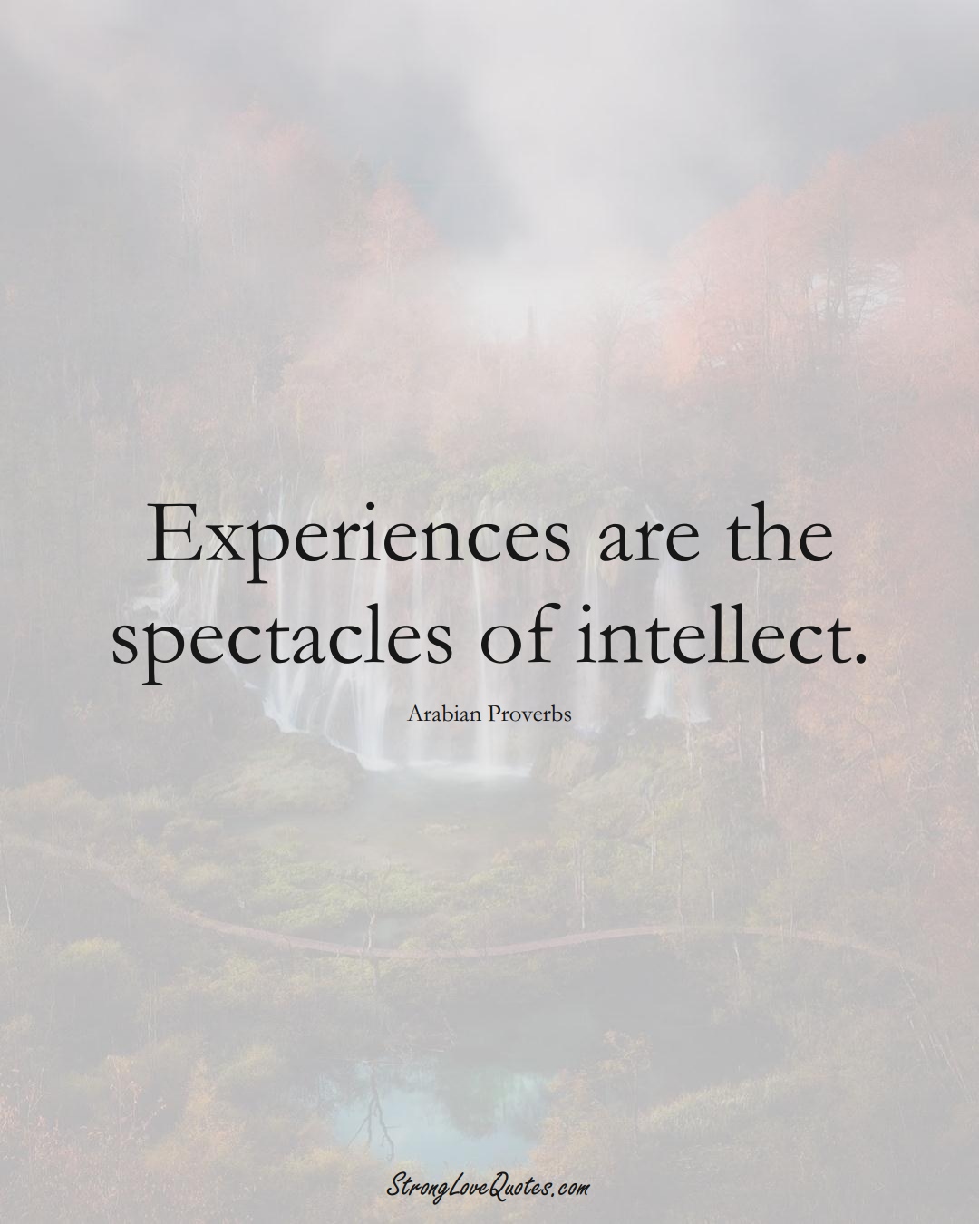 Experiences are the spectacles of intellect. (Arabian Sayings);  #aVarietyofCulturesSayings