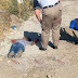 A balazos matan a un hombre en la Luis Donaldo Colosio de Zamora