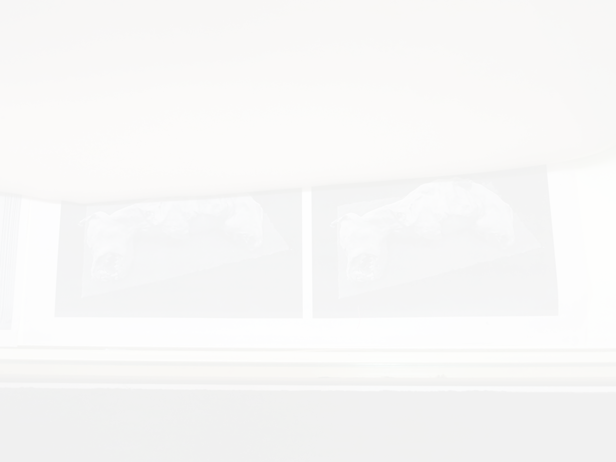 © Илья Федотов-Фёдоров