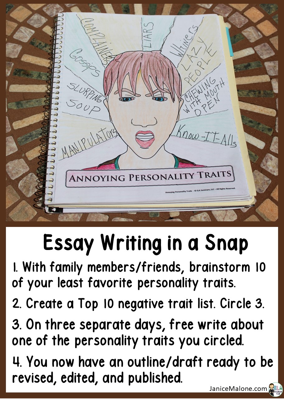 Annoying habits essay image