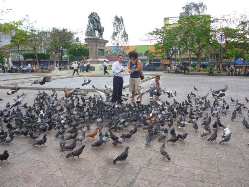 Metropolitan Cathedral of San Salvador, El Salvador The World Belongs to the Pigeons Now
