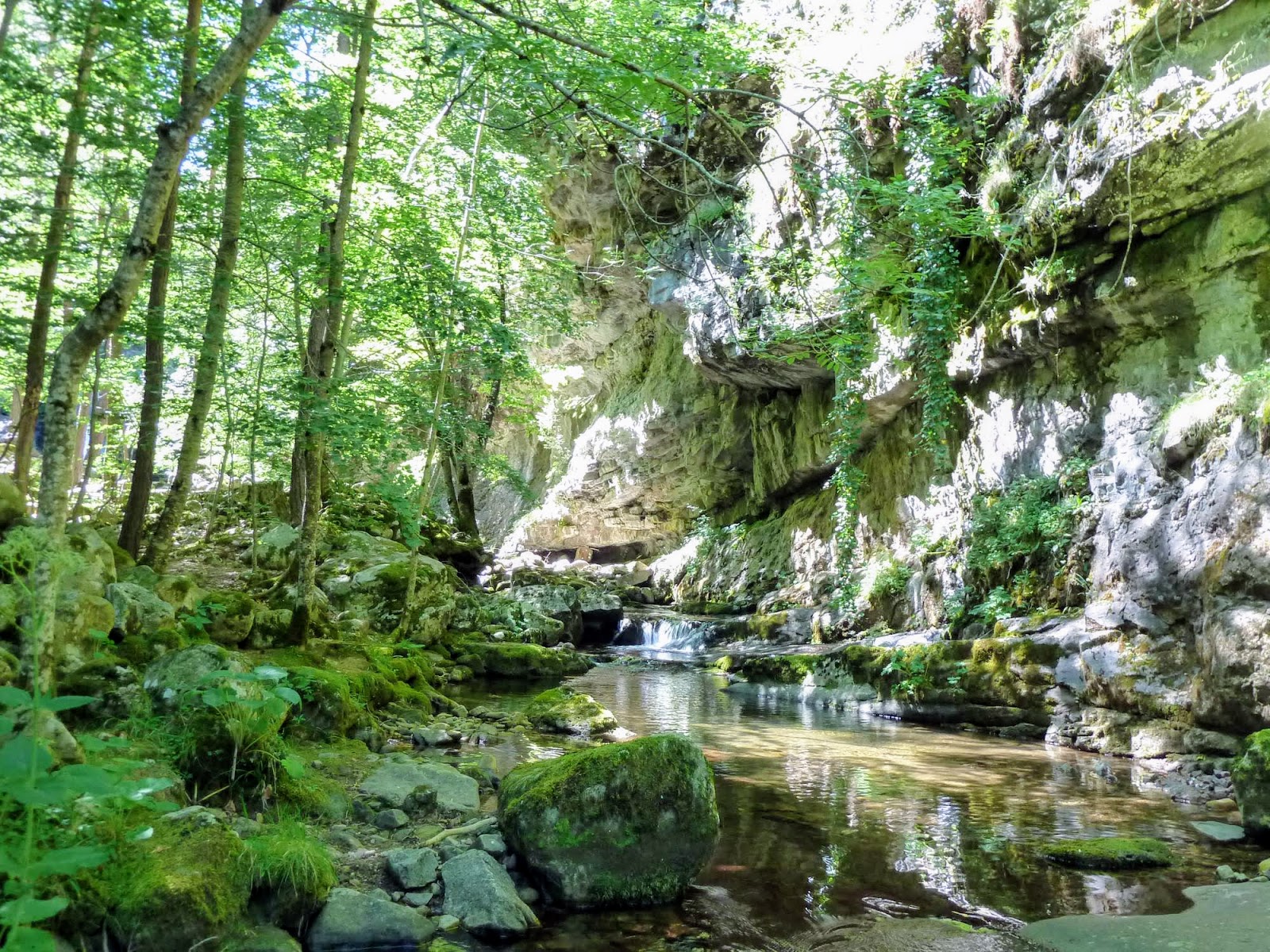 Diario de un Caminante Parque Natural