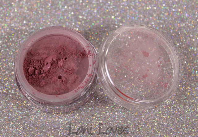 Notoriously Morbid Blush - Anywhere Swatches & Review