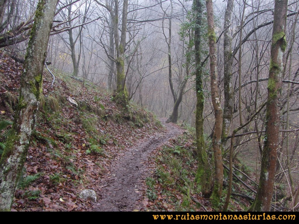 RUTA de LAS XANAS y VALDOLAYÉS PR AS187 desde el MOLÍN DE LAS XANAS