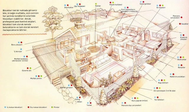 TARSUS DEZENFEKSİYON - İLAÇLAMA ŞİRKETİ 05336642759: tarsus haşere ilaçlama