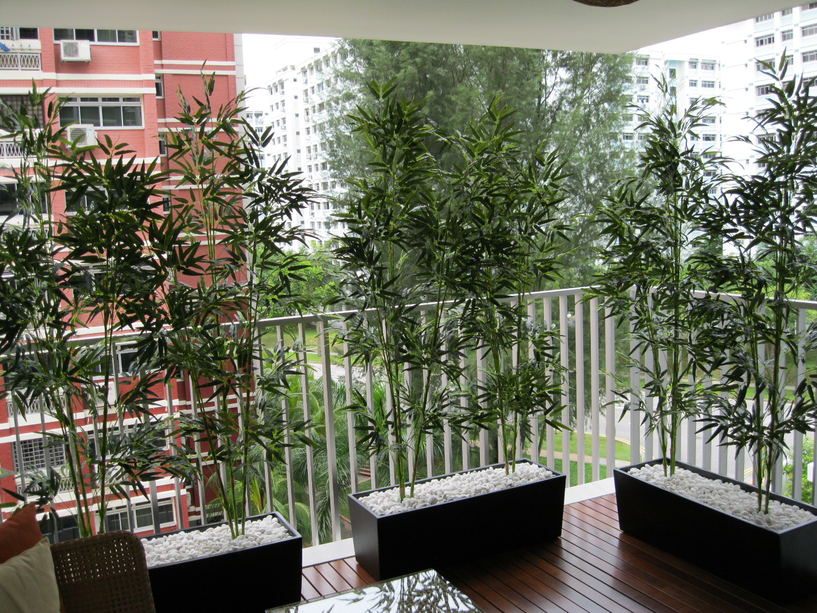 plastic bamboo plant