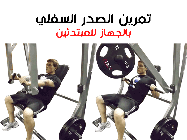 تمارين الصدرً في الجيم للمبتدئين تمارين الصدرً في الجيم للمبتدئين