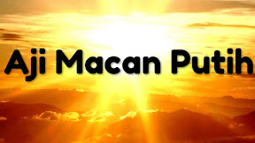 Ilmu Sirep Untuk Pencuri Aji Macan Putih