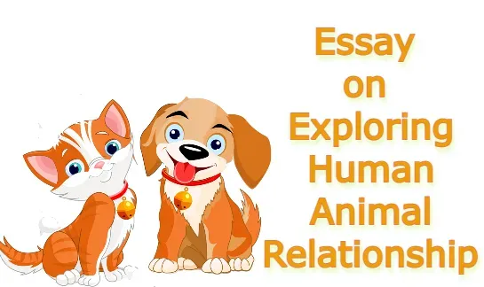 essay on Exploring Human Animal Relationship
