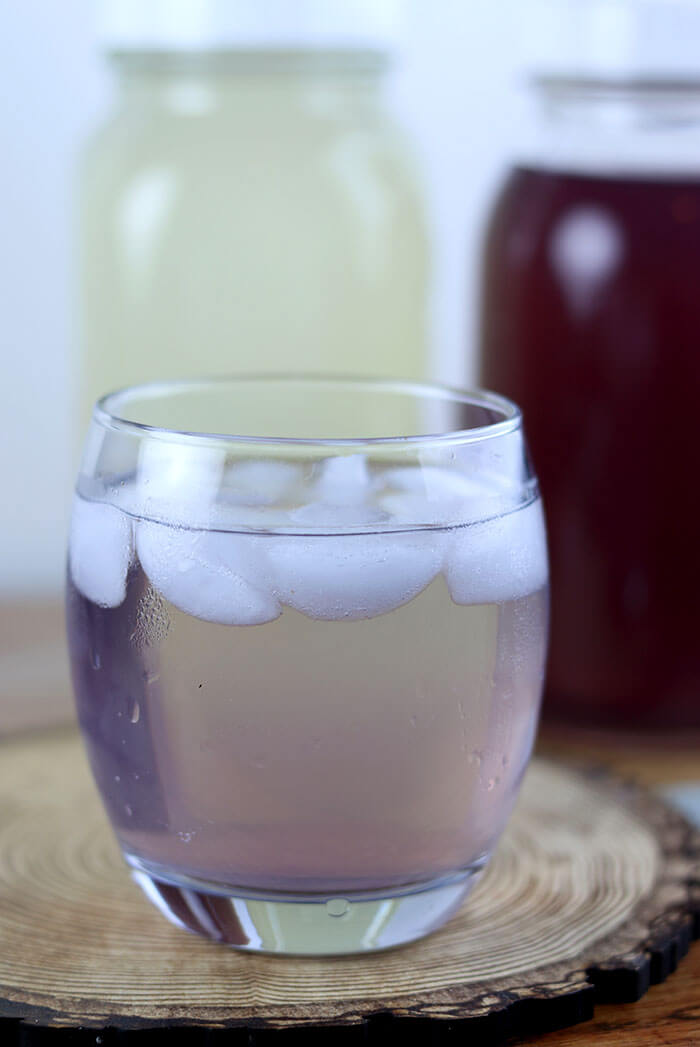 Instant Pot Pressure Cooker Infused Water Recipes Everything Pretty