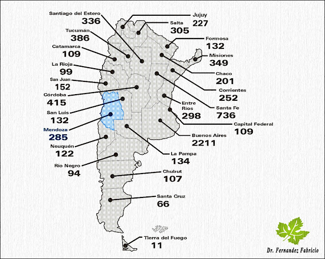 Accidentes viales en Mendoza: 285 en el 2016. Puesto Nº 9 a nivel país. 