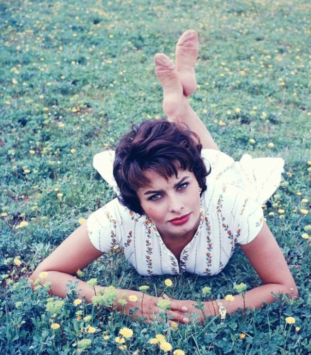 Sophia Loren Stunning vintage photos of the Italian classic beauty icon 1950s 1960s - 64