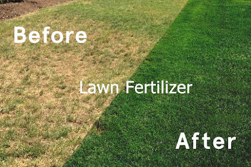 liquid lawn fertilizer