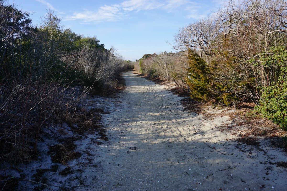 Harriman Hiker Harriman State Park and Beyond Island Beach State Park