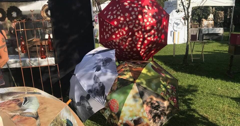 Den Gesamten Schlosspark Halbturn Erkunden