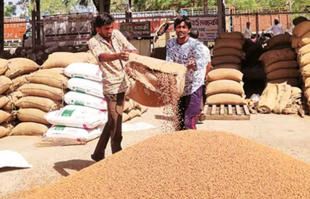 the gujarat bajar samachar of Chickpea market demand increase agriculture in Gujarat out states of India Chickpea apmc market price will be stable