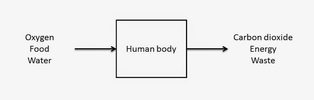 An arrow flows from "Oxygen, Food, Water" to "Human Body"; another arrow flows from "Human Body" to "Carbon Dioxide, Energy, Waste"