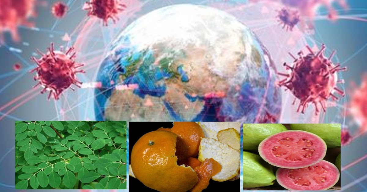 3 Tumbuhan Pencegah Virus Corona dalam Penelitian Kedokteran UI dan IPB