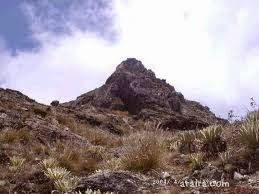 Venezuela La Joya Del Mundo Monumento Natural Teta de NiquitaoGuirigay
