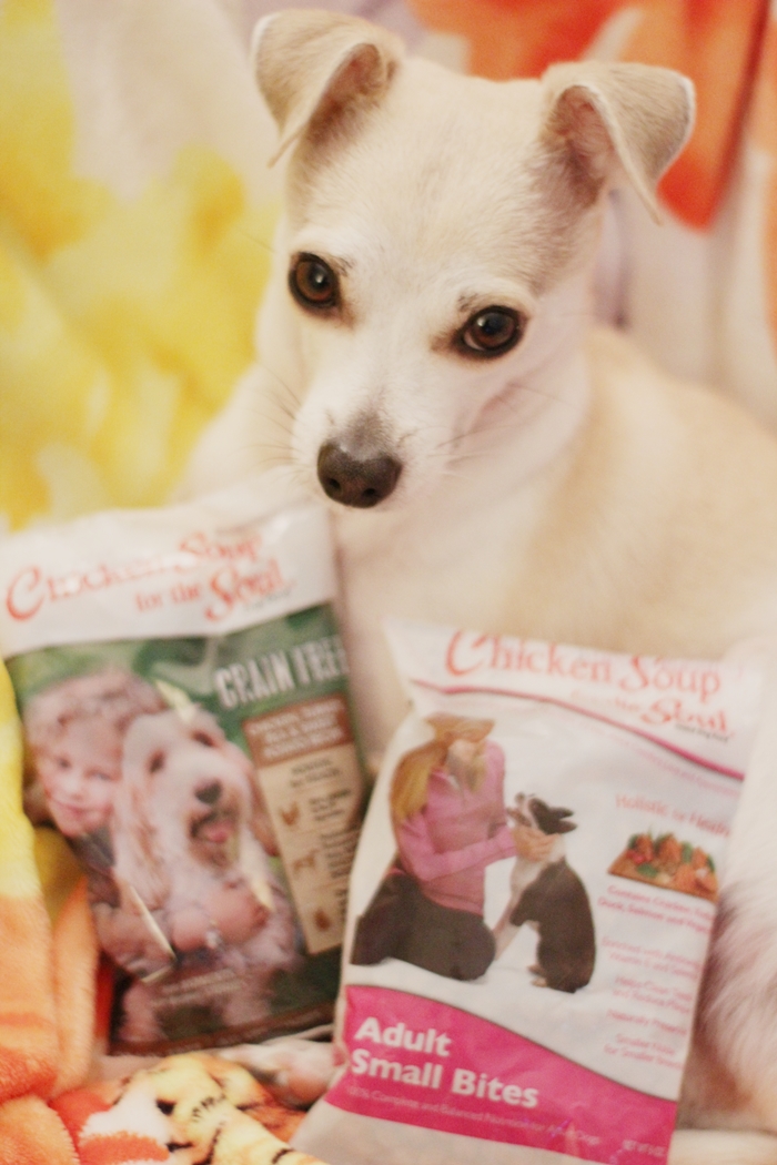 Chicken Soup for the Soul Dog Food Review #MyPetisMyHero