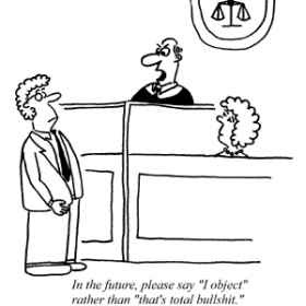 public lawyer