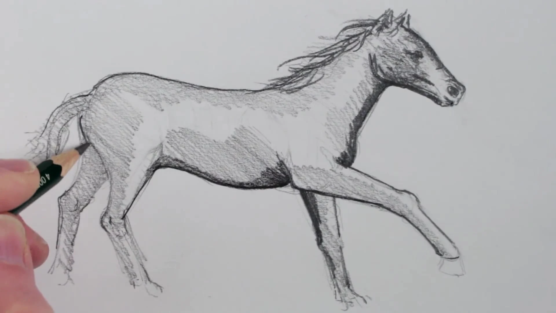 رسم حصان بالرصاص