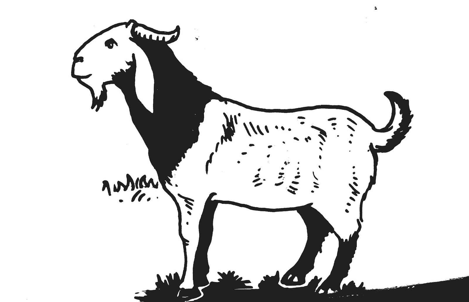 gambar mewarnai kambing