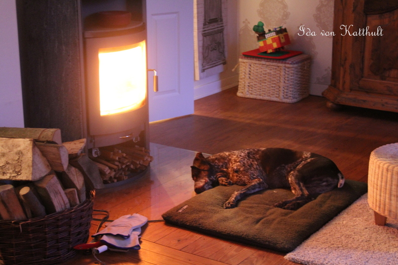 Idas Bloghaus: Vorm Kamin