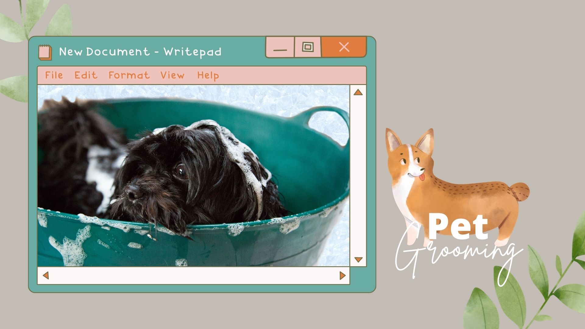 Cuan dari Bisnis Pet Hotel dan Pet Grooming? Why Not! | DUCKOFYORK