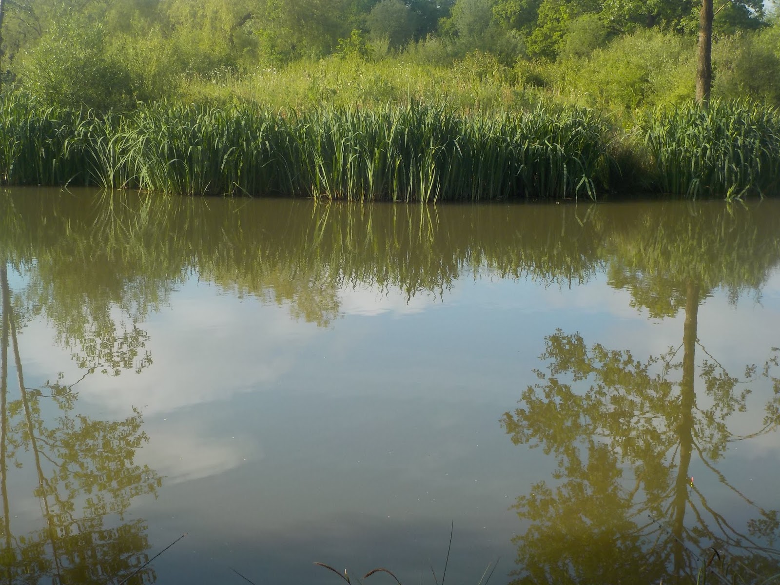 Ken S Fishing Tales 2018 13 May 18th Nursery Fields Edenbridge