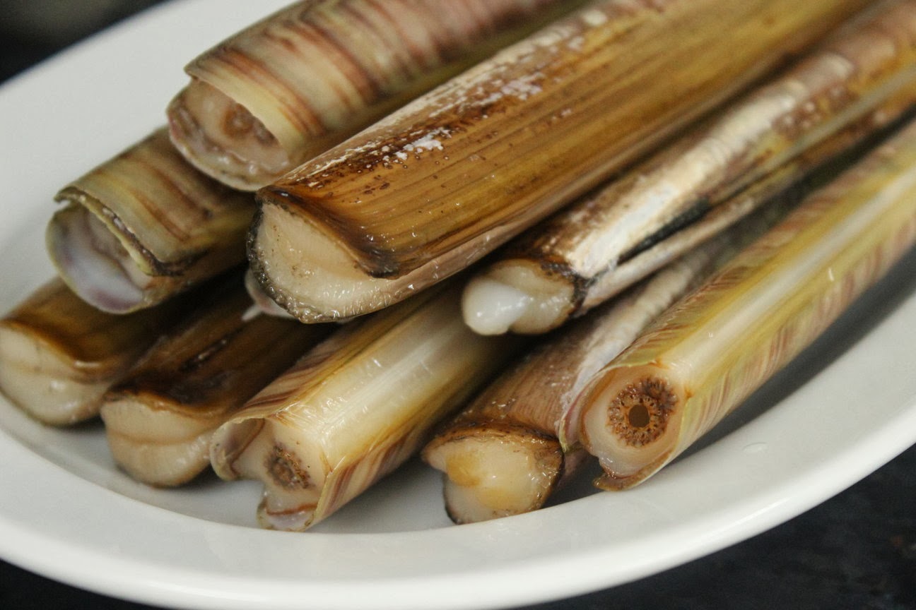 Bamboo Clam in Malay