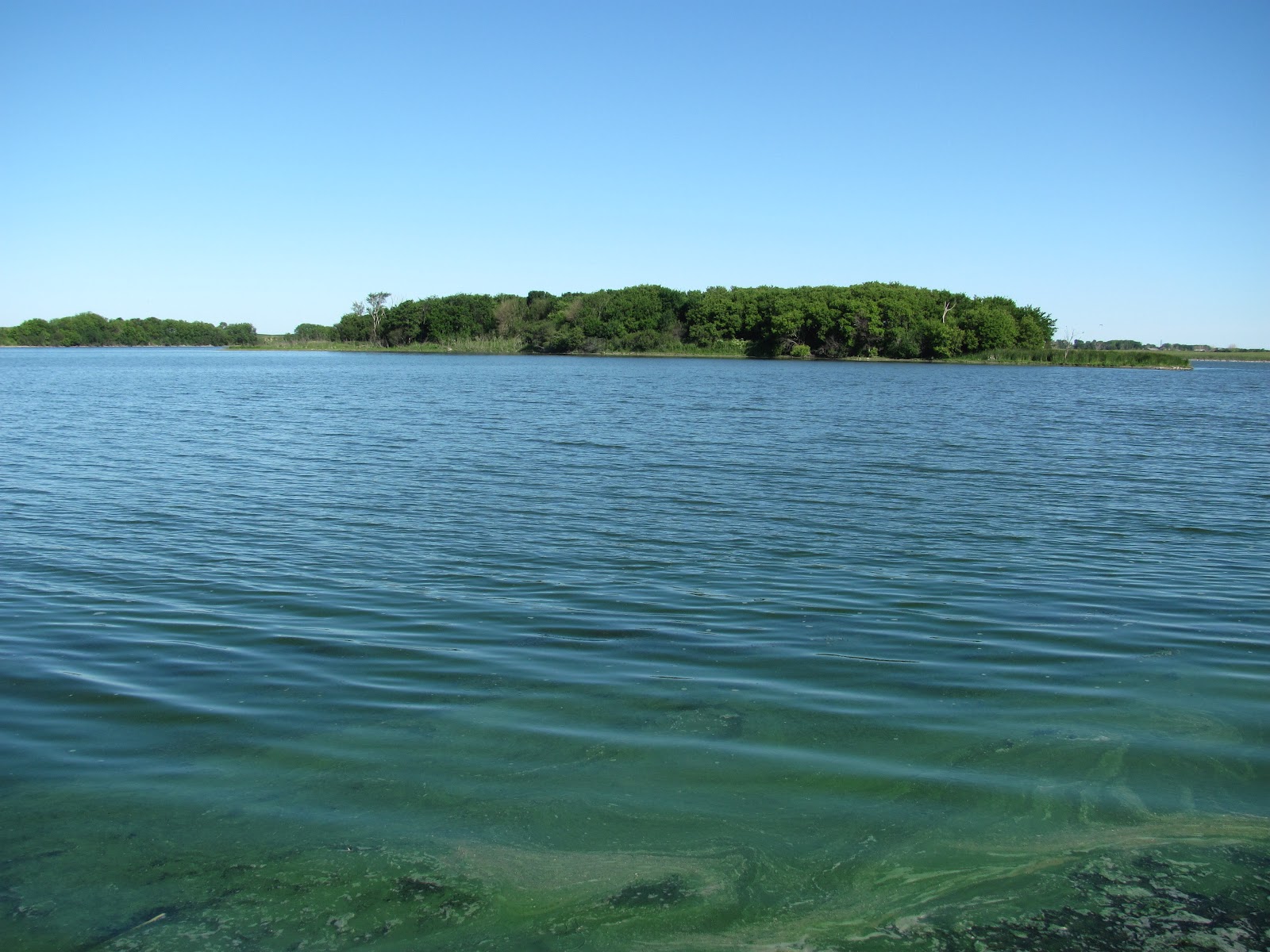 Kayaking the Lakes of South Dakota Beaver Lake June 2012