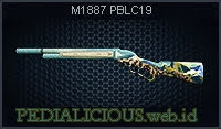 M1887 PBLC19