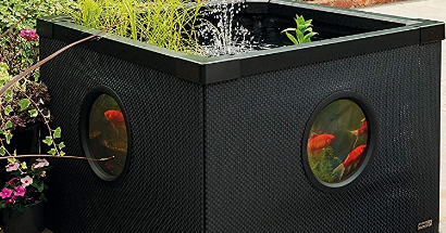 Hochteich mit Sichtfenster Fische und Pflanzen Unterwasser betrachten