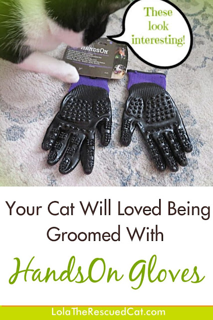 HandsOn Grooming Gloves