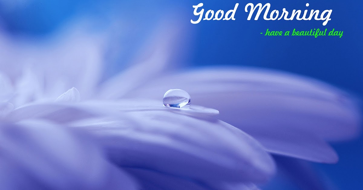 Greetings.Live*Free Daily Greetings Pictures Festival GIF Images drop