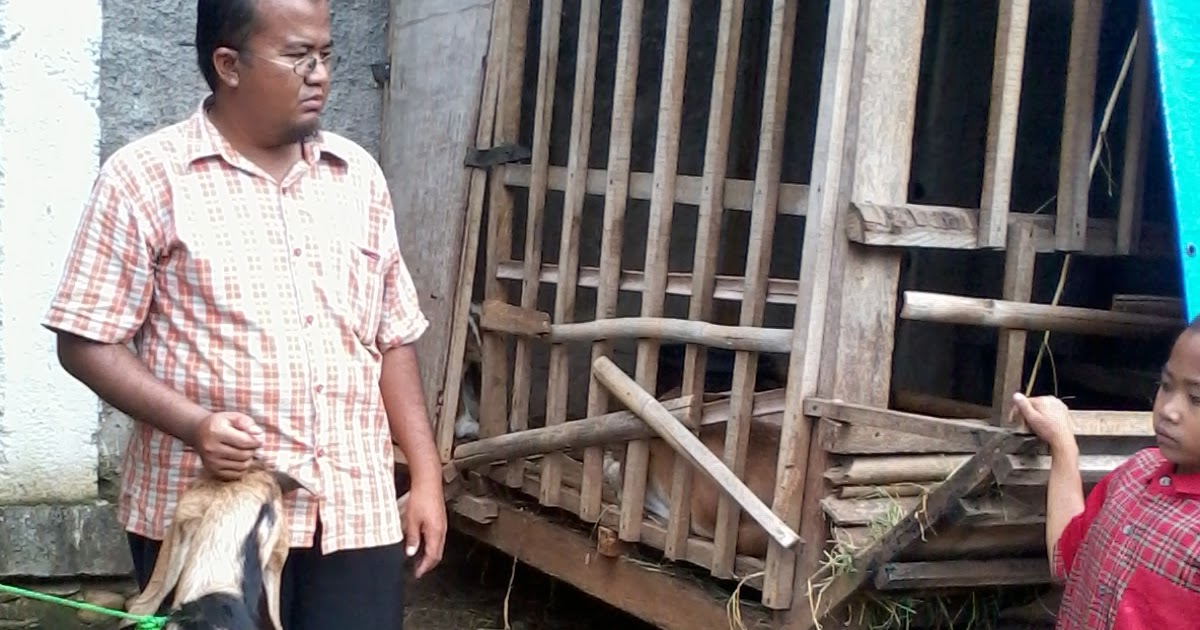 Sekolah Alam Jingga Di Bekasi Kronis n Sekolah Alam Jingga Di Bekasi Kronis n