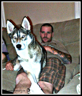 My brother and my husky - best buds