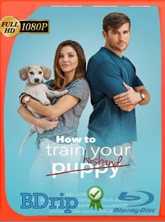 How to Train Your Husband (2018) BDRIP 1080p Latino [GoogleDrive] SXGO