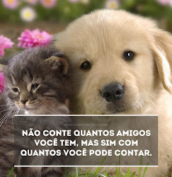 amizade mensagens mensagem frases whatsapp amigos verdadeira carinho amigas contar posso imagens bonitas pequenas sempre curtas quantos pra conte mensagenseamizade