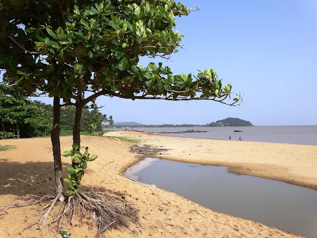 https://www.oblogdomestre.com.br/2020/06/GuianaFrancesa.Historia.Curiosidades.html