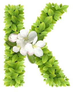 Abecedario con Hojas Verdes y Flores Blancas. Alphabet with Green Leaves and White Flowers.