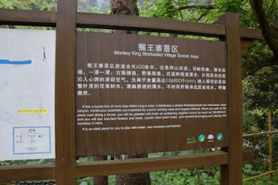 莽山 13 莽山自然博物館/ 猴王寨景區