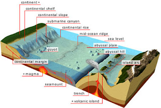 ocean floor features