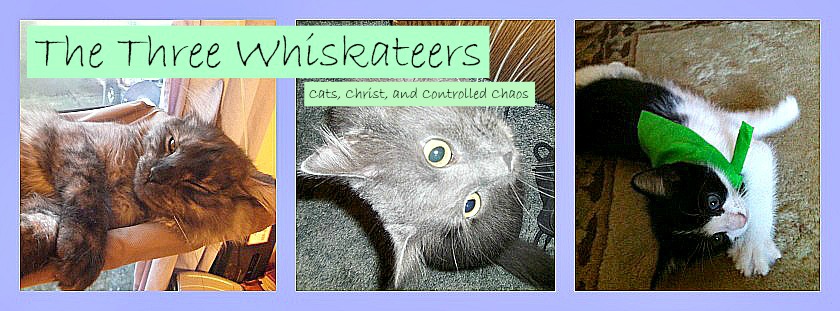 The Three Whiskateers