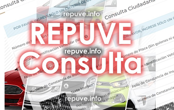 Formatos con Textos en Rojo de Repuve Consulta Formatos con Textos en Rojo de Repuve Consulta