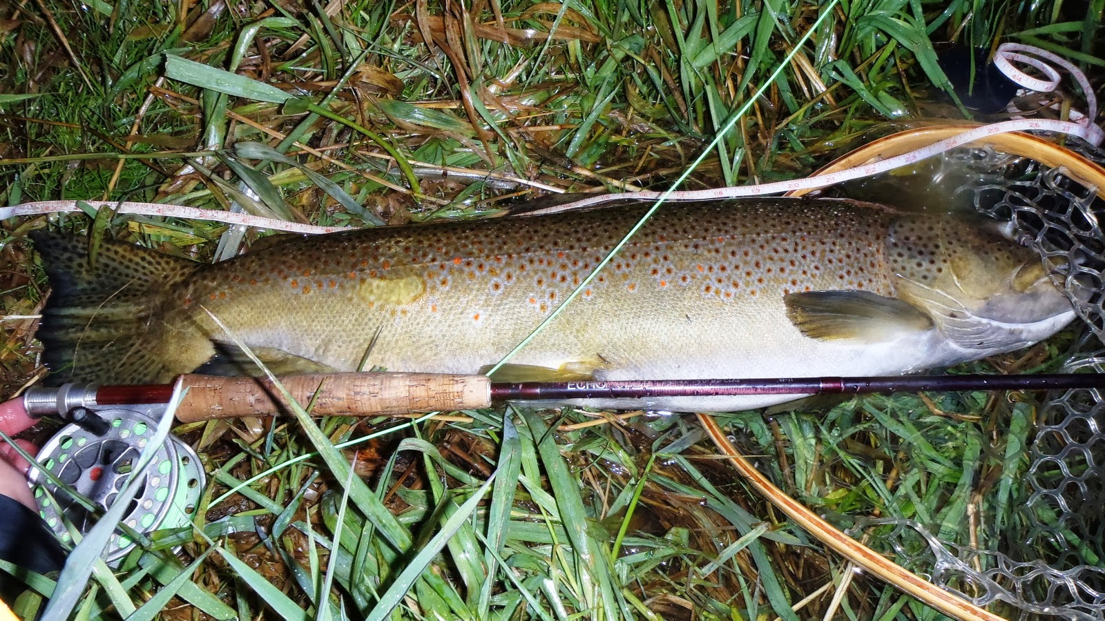 Форелевые реки