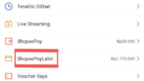 Cara Aktivasi dan Penjelasan Fitur Baru ShopeePayLater Lengkap